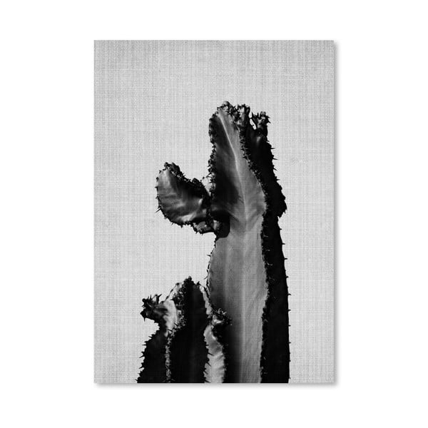 Plakat Cactus On Grey