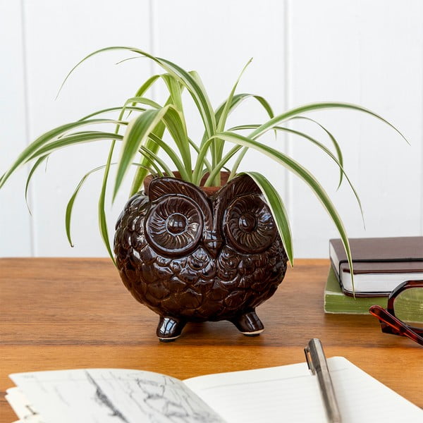 Ceramiczna osłonka na doniczkę ø 11 cm Owl – Rex London-image-2