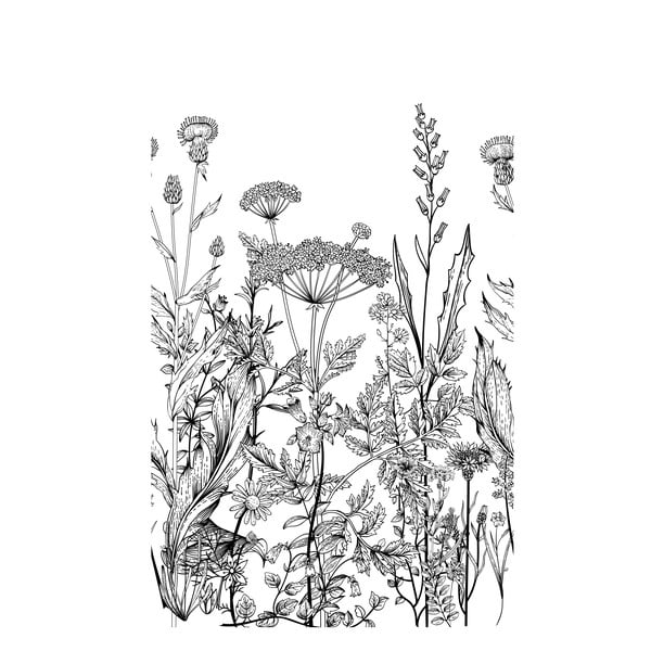 Czarno-biała tapeta z motywem kwitnącej łąki Dekornik