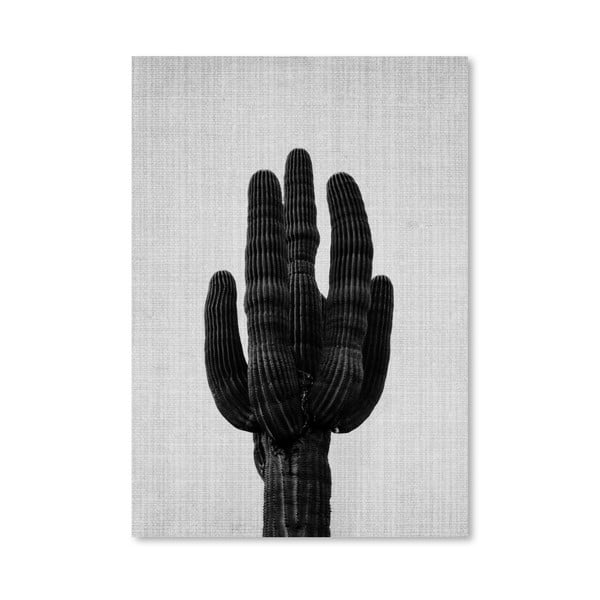 Plakat Cactus Grey
