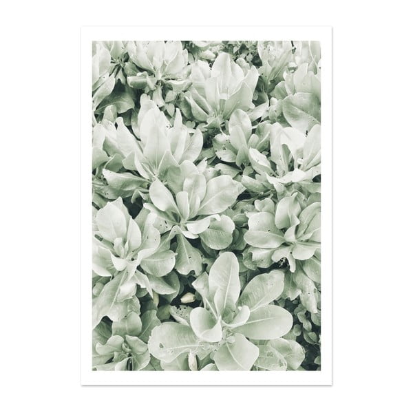 Plakat HF Living Botanic Greenery, 21x30 cm