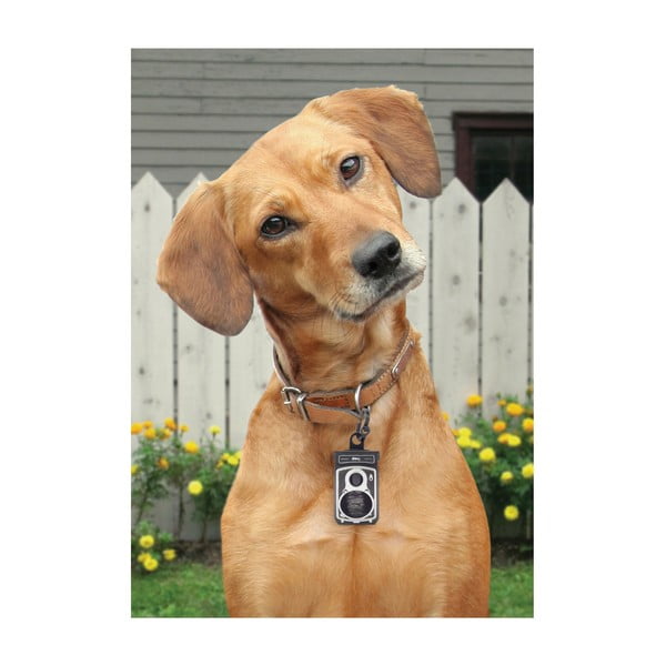 Dawkowacz do worków na odchody Rolldog-image-1