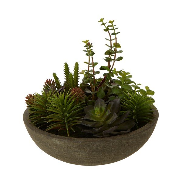 Sztuczny sukulent w doniczce Premier Housewares Fiori-image-1