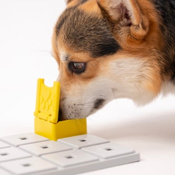 Łamigłówka dla psów Base – Pawzler-image-1