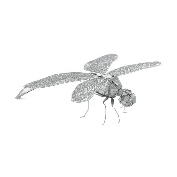 Model Dragonfly-image-3
