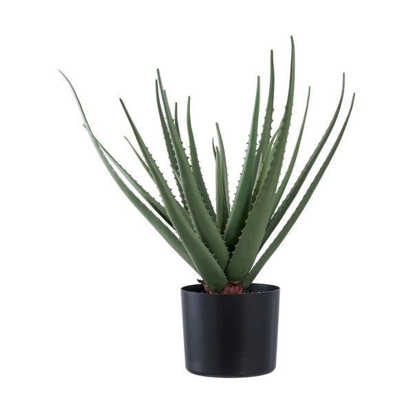 Sztuczna roślina (wysokość 51 cm) Aloe Vera – House Nordic