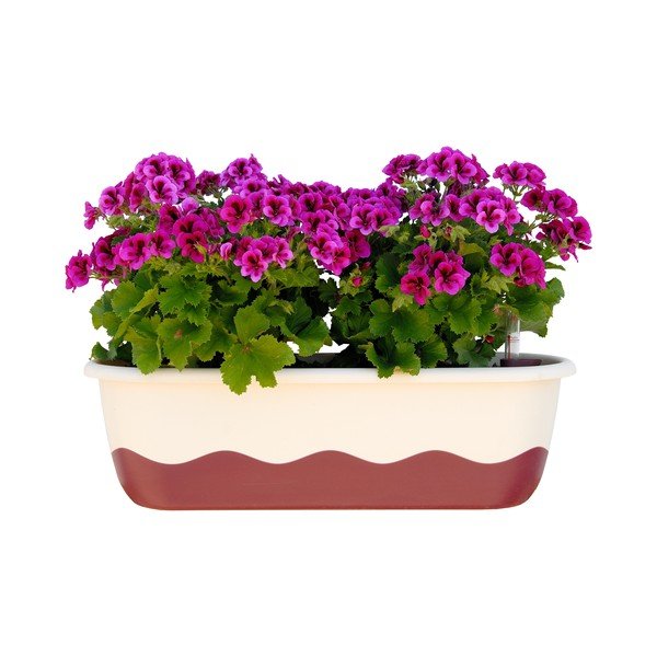 Biało-różowa doniczka z systemem nawadniania Plastia Mareta, dł. 60 cm-image-1