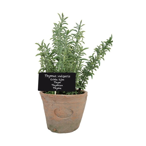 Sztuczna roślina (wysokość 21,5 cm) Thyme – Esschert Design