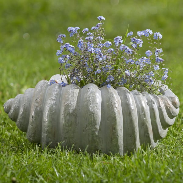 Doniczka ogrodowa w kształcie muszli Boltze, dł. 35 cm