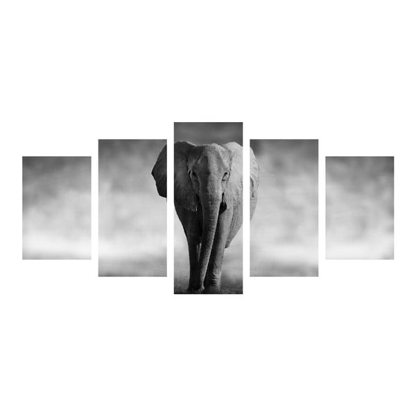 Wieloczęściowy obraz Black&White Elephant, 100x50 cm