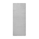 Jasnoszary chodnik 80x300 cm Fancy – Hanse Home