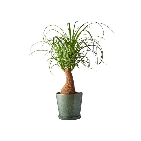 Kamionkowa osłonka na doniczkę ø 14 cm Gastro Green/Black – Bitz-image-1