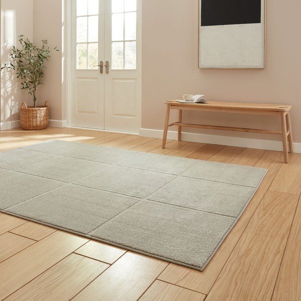 Jasnoszary dywan 120x170 cm Elio Silver – Think Rugs-image-2