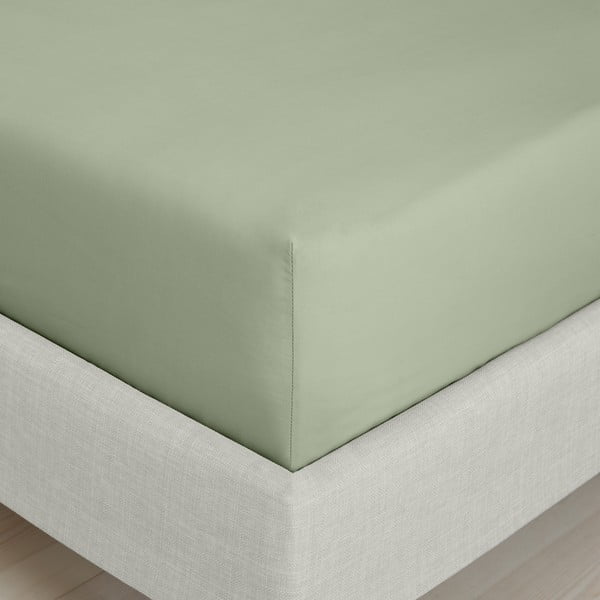 Zielone prześcieradło z perkalu bawełnianego z gumką 90x190 cm Cotton Percale – Bianca-image-3