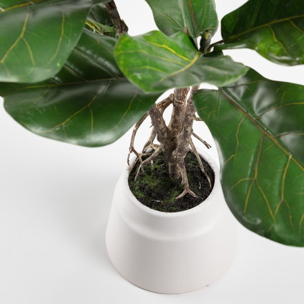 Sztuczny fikus (wysokość 60 cm) Lyrata – Kave Home-image-1