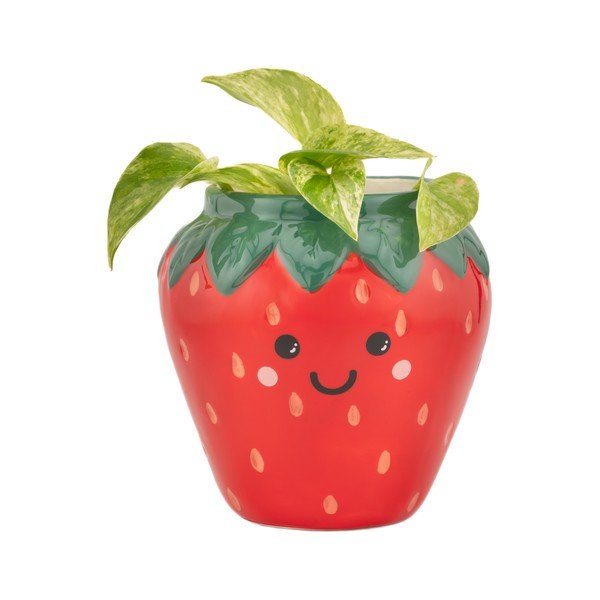 Ceramiczna osłonka na doniczkę ø 10 cm Strawberry – Sass & Belle-image-1