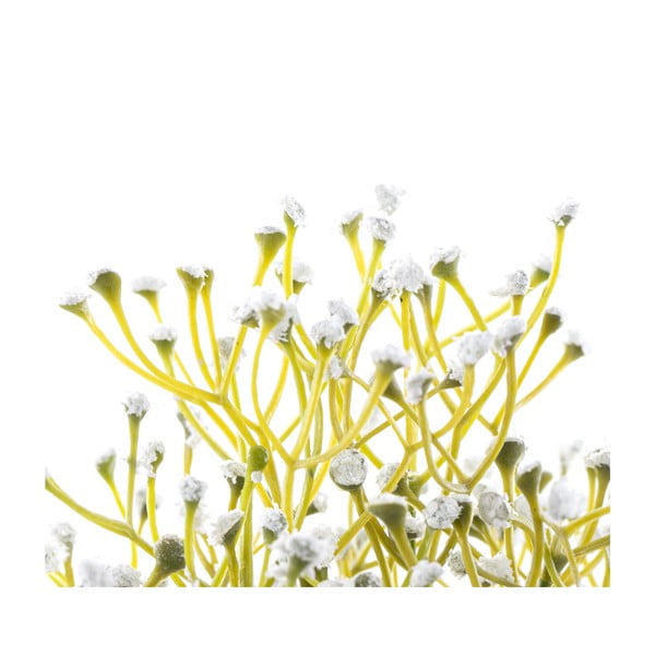 Sztuczna roślina (wysokość 27 cm) Babi – Restilo-image-2