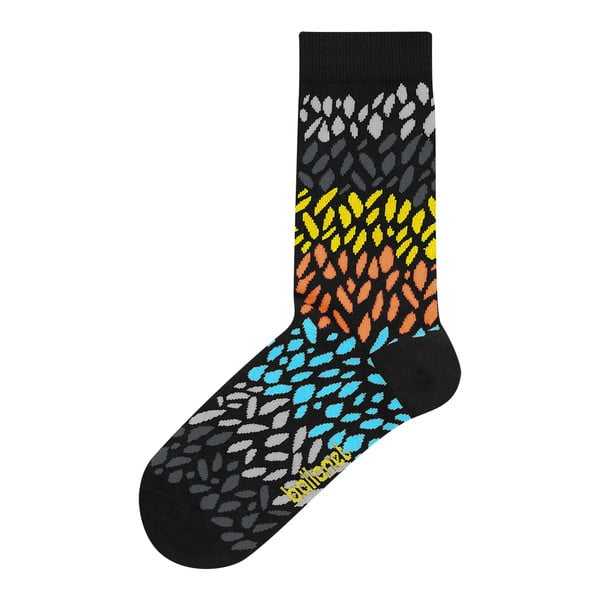 Skarpetki Ballonet Socks Fall, rozmiar 36-40