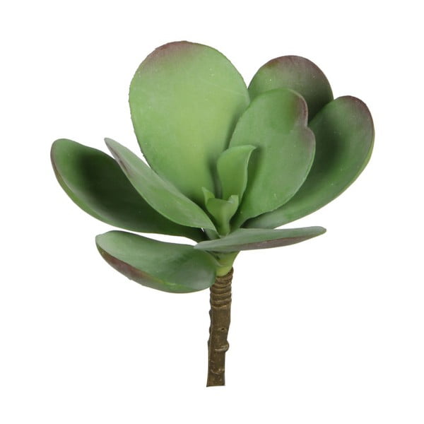Sztuczny kwiat Ego Dekor Zielony sukulent z dużym liściem