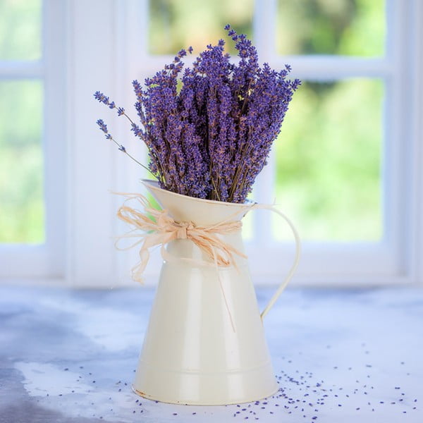 Obraz Mug with Lavender, 55x55 cm