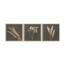 Obrazy zestaw 3 szt. 30x30 cm Pampas – Styler