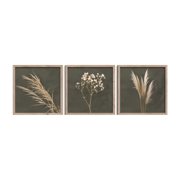 Obrazy zestaw 3 szt. 30x30 cm Pampas – Styler