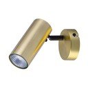 Metalowa lampa punktowa w kolorze złota 8x16 cm Colly – Candellux Lighting