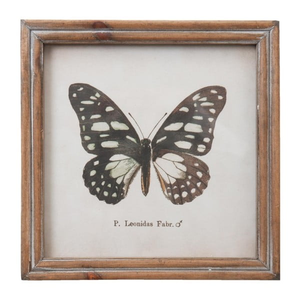Obraz Clayre & Eef Butterfly, 18x18 cm