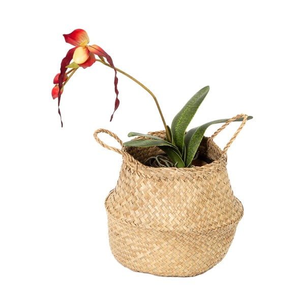 Jasny kosz z trawy morskiej Compactor, ⌀ 27 cm-image-3