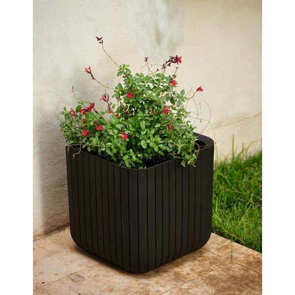 Plastikowa doniczka Cube – Keter-image-1