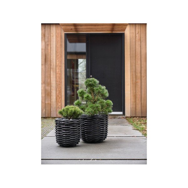 Rattanowe doniczki zestaw 2 szt. ø 52 cm Vilda – Villa Collection-image-3