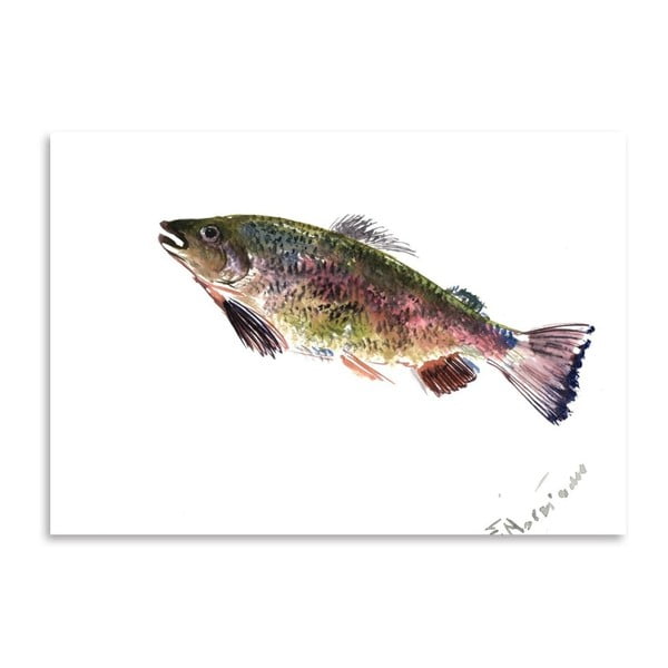 Plakat Rainbow Trout (projekt Surena Nersisyana), 60x42 cm