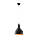 Czarna lampa wisząca z metalowym kloszem ø 22 cm Sağlam – Opviq lights