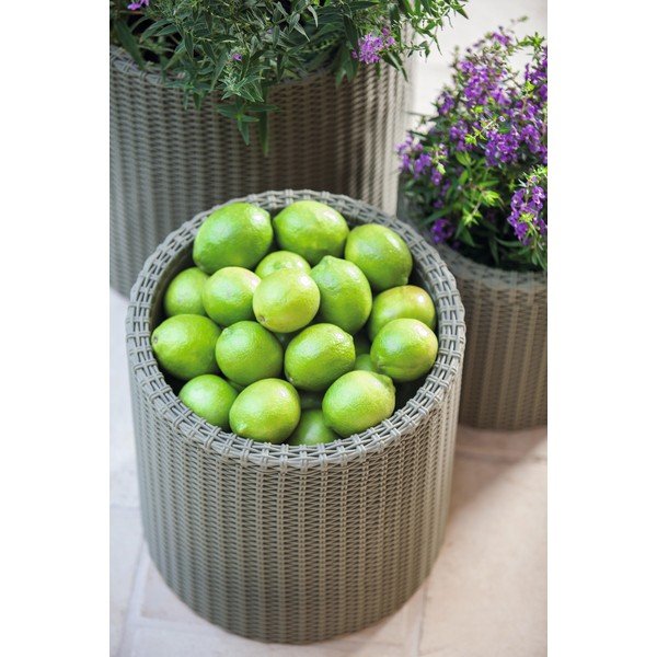 Szara doniczka Keter Planter, ø 35 cm-image-1
