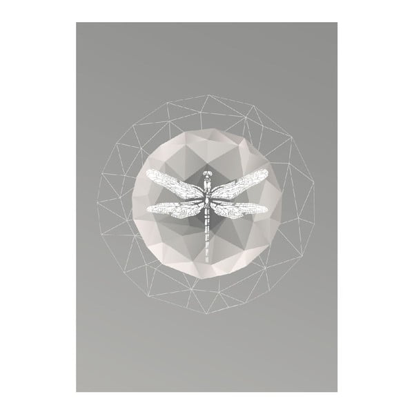 Plakat Dragonfly, A3-image-1