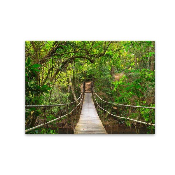 Obraz Styler Glas Nature Forest Bridge, 80x120 cm