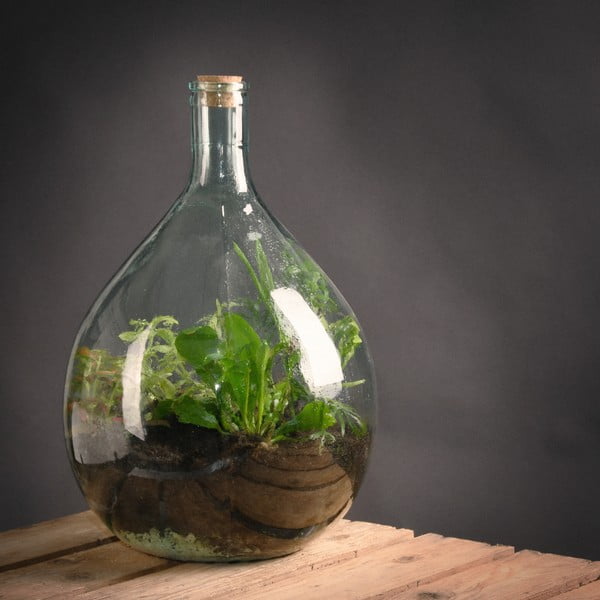 Szklane terrarium z narzędziami do uprawy roślin Esschert Design, 15 l-image-1