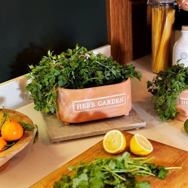 Terakotowa doniczka Sass & Belle Herbs, dł. 23 cm-image-1