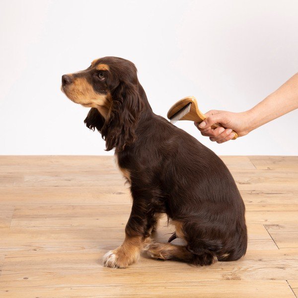 Szczotka dla zwierząt – Love Story-image-1