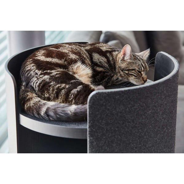 Drapak dla kota Torre Ash Black S – MiaCara-image-1