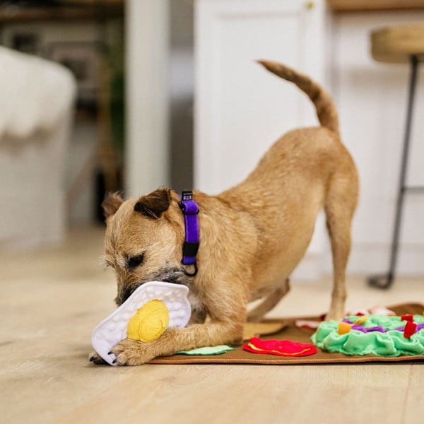 Mata węchowa Brunch – P.L.A.Y.-image-1