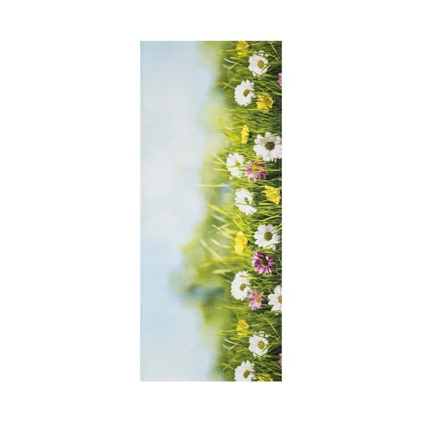 Wysoce wytrzymały chodnik Webtappeti Campo, 58x140 cm-image-1