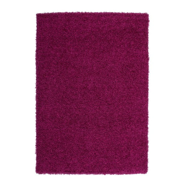 Dywan Perky 278 Purple, 230x160 cm
