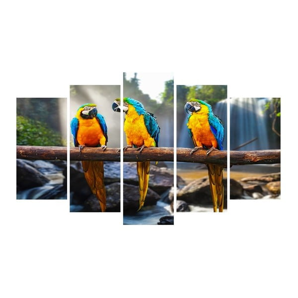 Wieloczęściowy obraz na płótnie Animal Parrots
