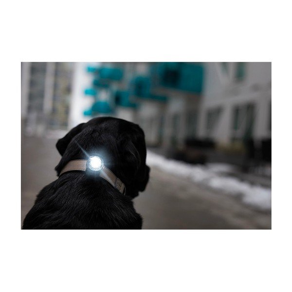 Lampka LED na obrożę Dark – Orbiloc-image-4