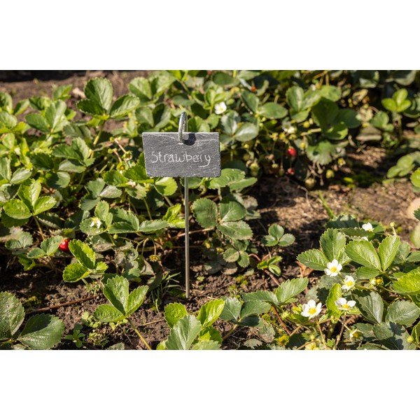 Tabliczka łupkowa na tyczce Esschert Design-image-3