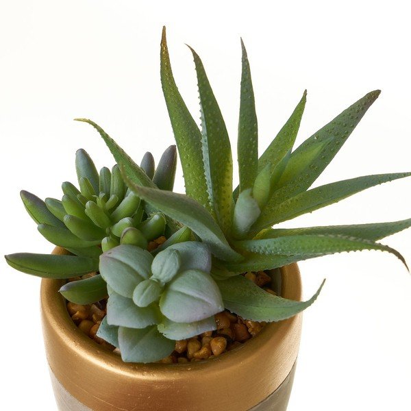 Sztuczne rośliny zestaw 4 szt. (wysokość 17 cm) Cactus – Casa Selección-image-3