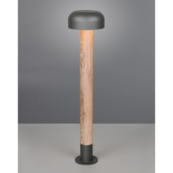 Lampa zewnętrzna typu słupek ø 19 cm Fraser – Trio-image-1