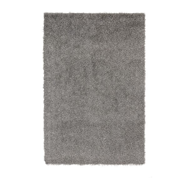 Szary dywan Ixia Forlan, 200x300 cm