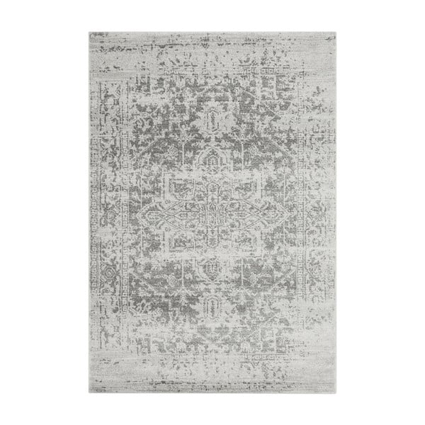 Szary dywan 120x170 cm Nova – Asiatic Carpets